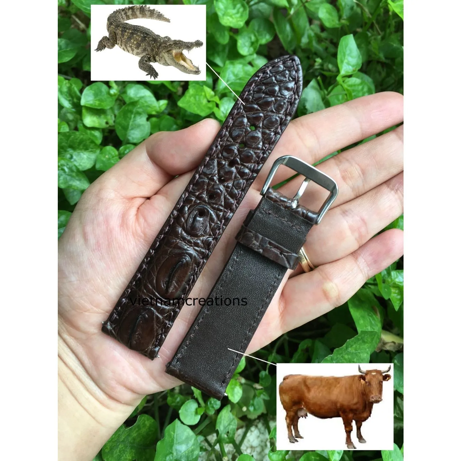 Dark Brown Alligator Leather Watch Band | Crocodile Quick Release Replacement Strap | DH-37