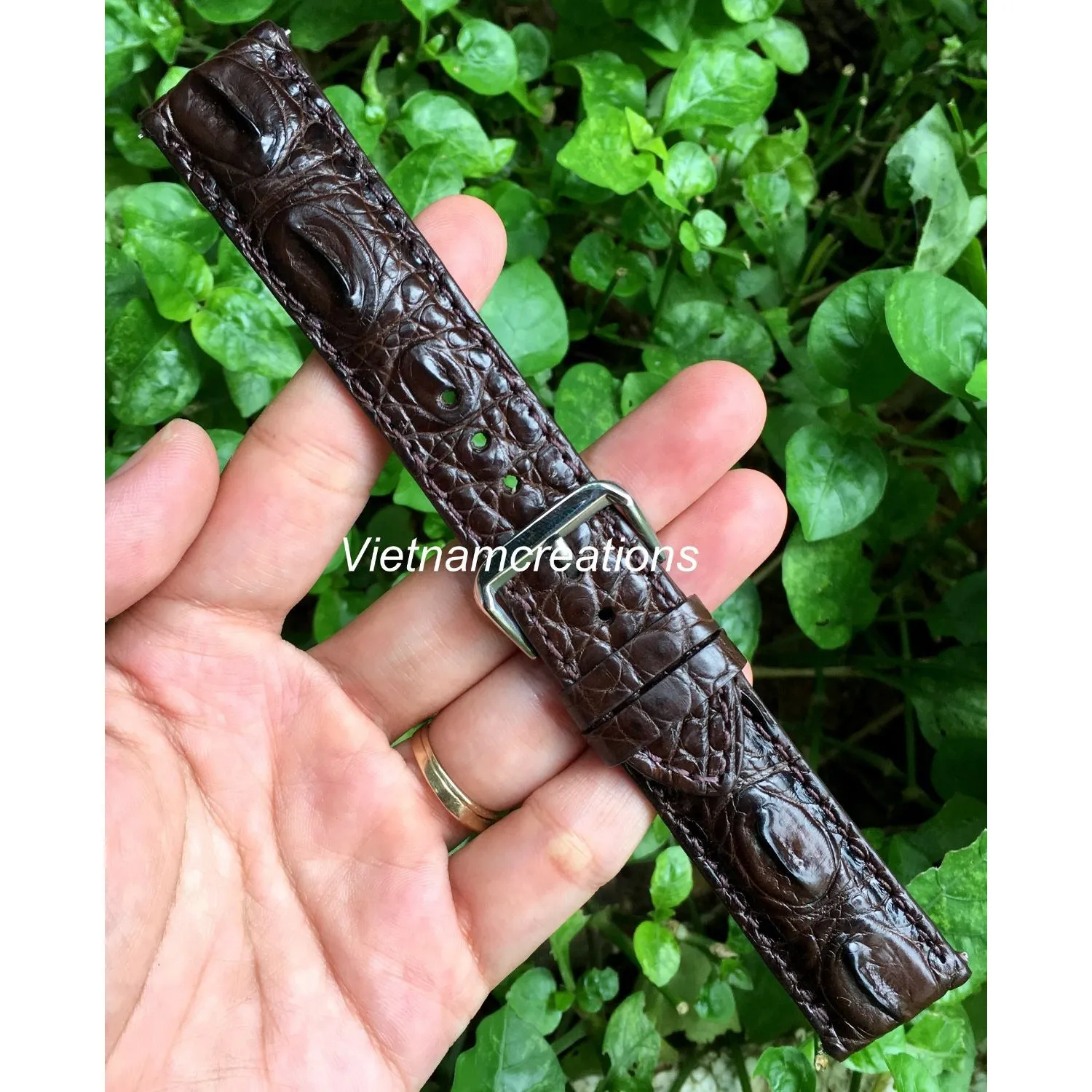 Dark Brown Alligator Leather Watch Band | Crocodile Quick Release Replacement Strap | DH-37