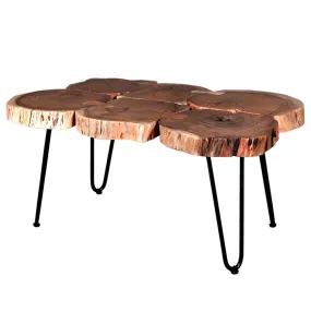 Nilima - Modern Artisan Coffee Table