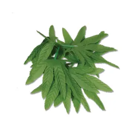 Tropical Fern Leaf Anklet 10in